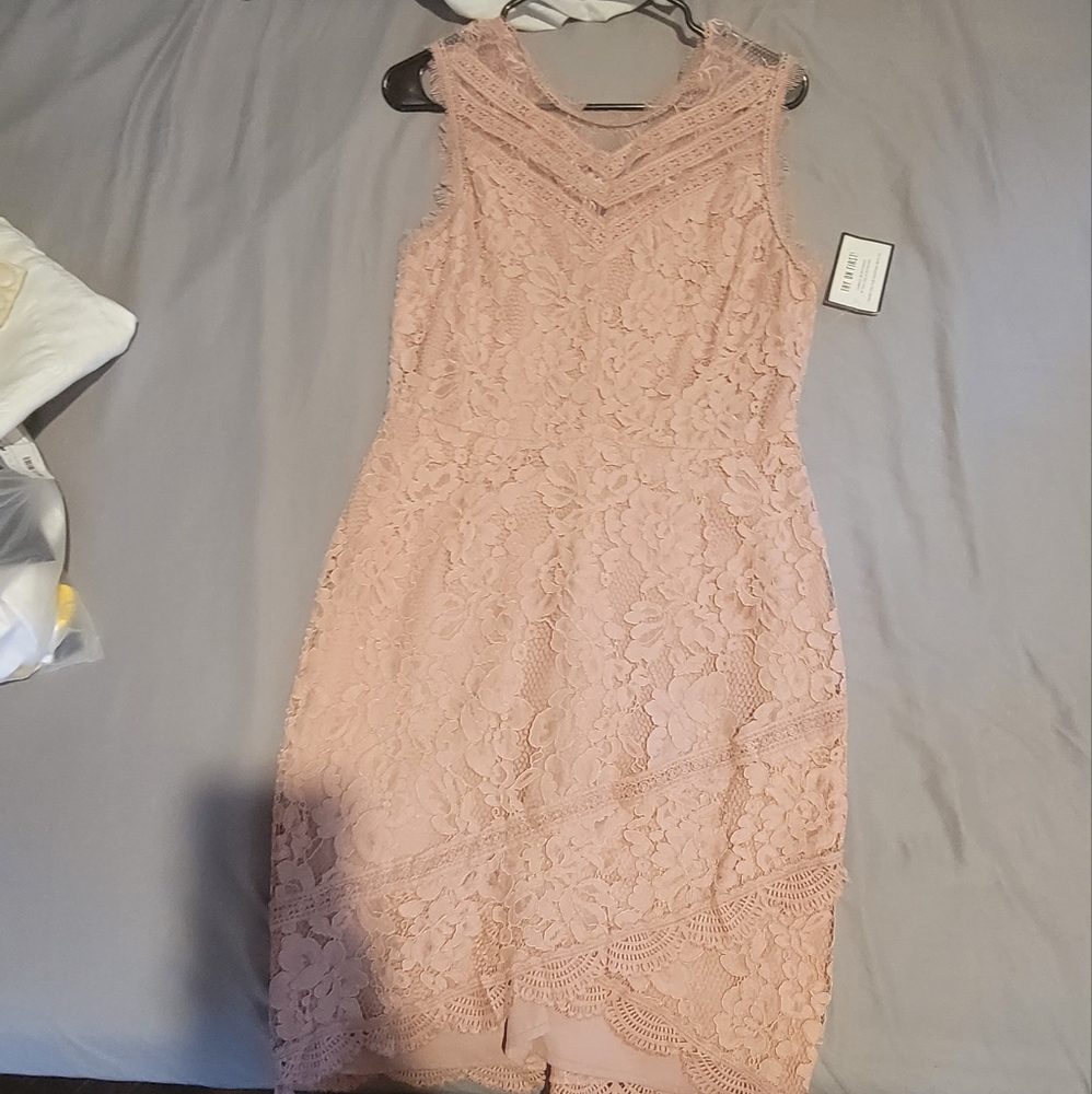 Adelyn Rae lace floral Blush Sheath dress